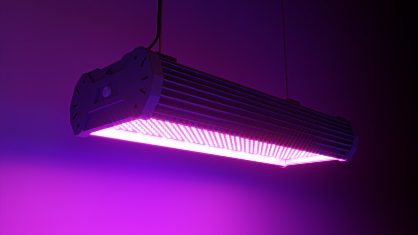 The Impact of Ultraviolet (UV) Lights on Indoor Air Quality