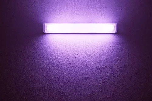 A purple lightbulb illuminating a bedroom, demonstrating how ultra violet light can help reduce contaminants in your home.